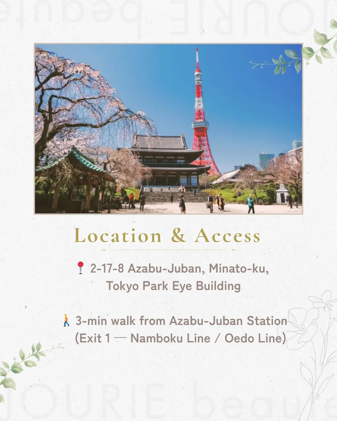 Tokyo Facial Experience ✨