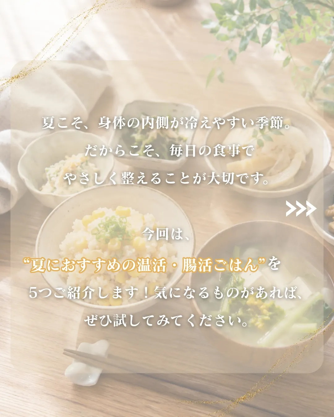 夏こそ、内側から整える。